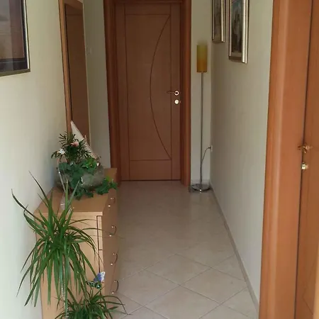 In Pag/insel Pag 15955 Apartman Pag Town